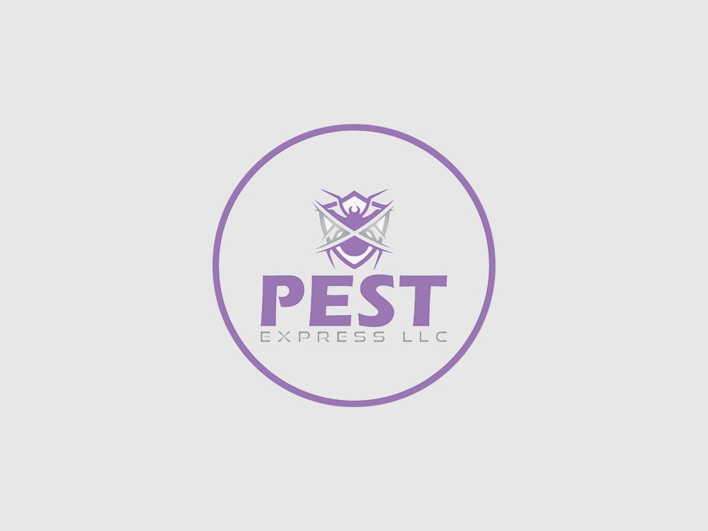 Top 6 Myths About Pest Control Debunked