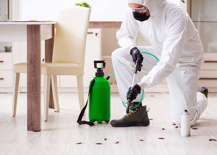 Pest Control Services in Maryland and Washington DC