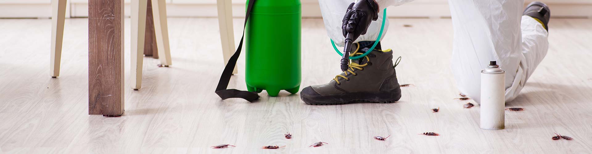 Pest Control Services in Baltimore City