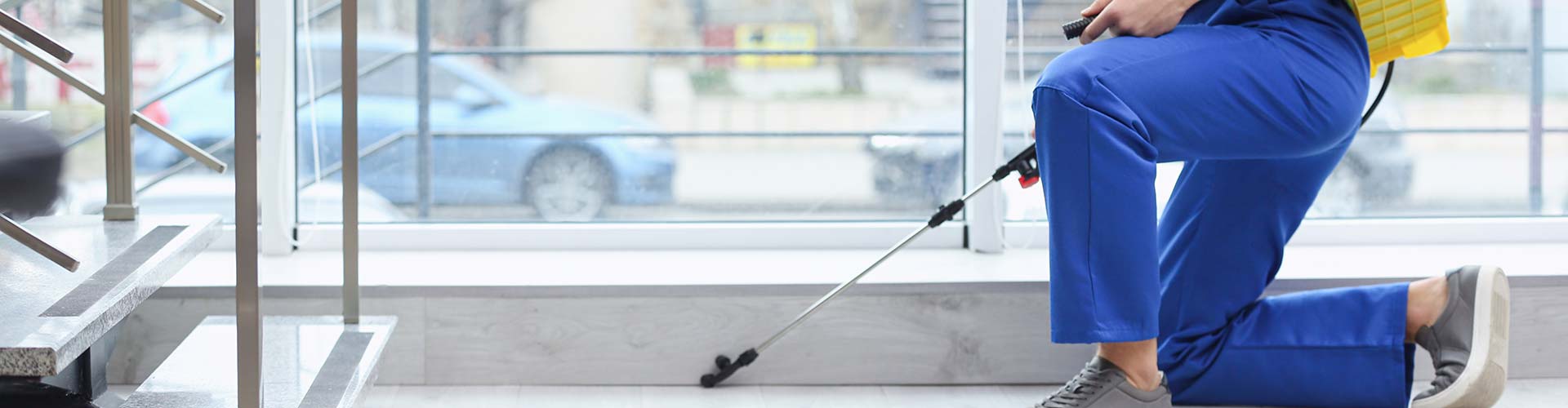 Find out how to contact Pest Express DMV for pest control services.