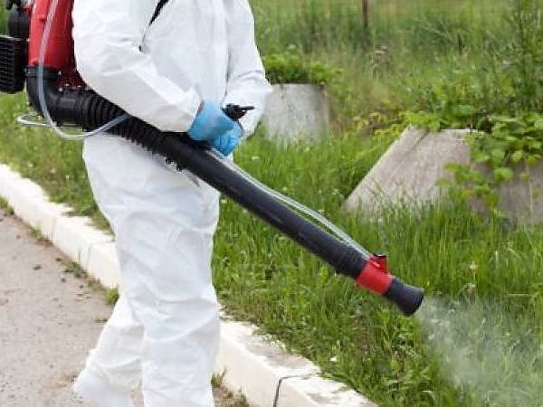 Explore the detailed work we do to keep properties pest-free.