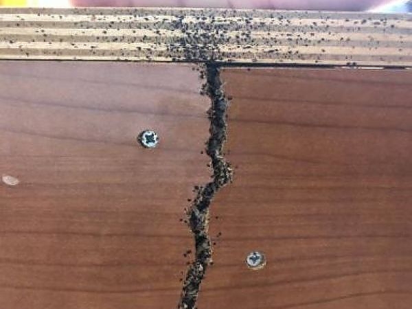 See the professional equipment and techniques we use.